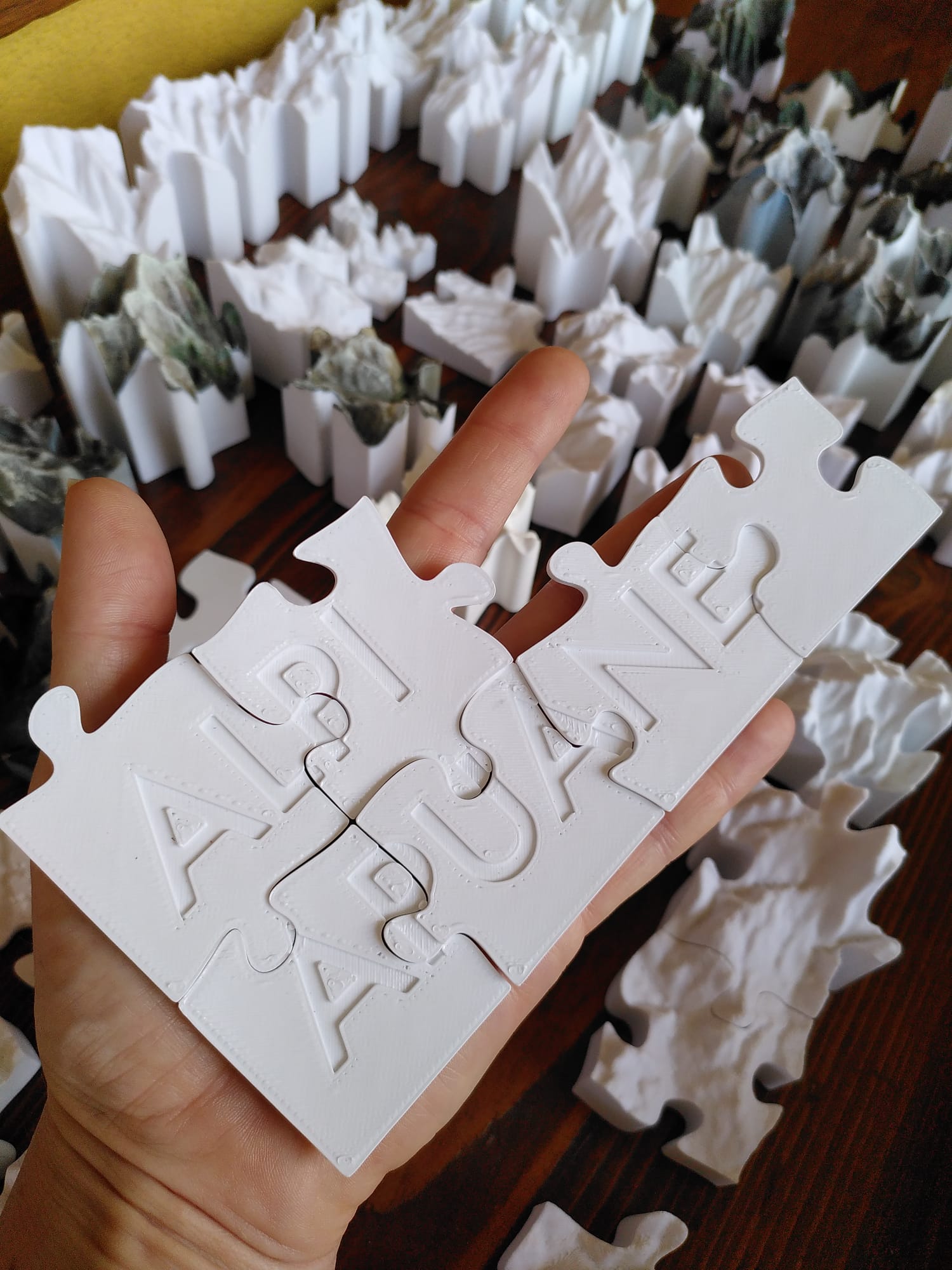 Benvenuti su 3DpuzzleApuanAlps: un viaggio educativo tra le meraviglie delle Alpi Apuane